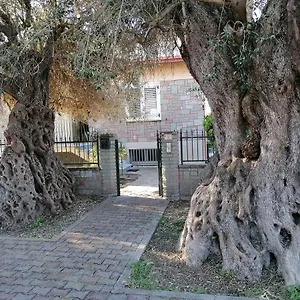 La Casa Degli Ulivi Appartamento